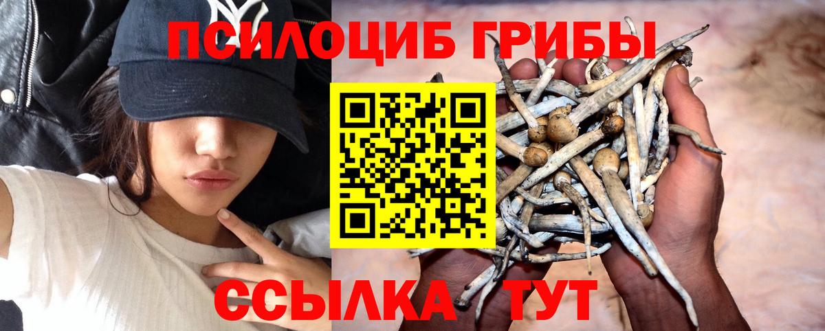 Уварово  Галлюциногенные грибы ЛСД  Вход с VPN 